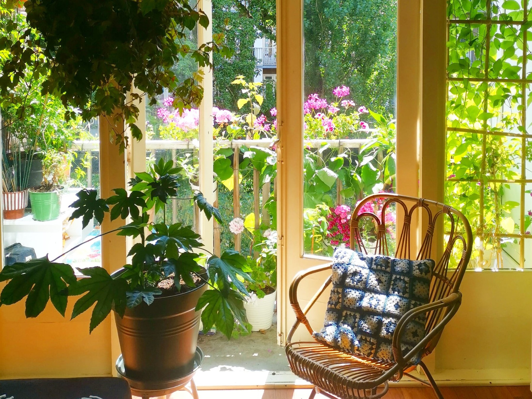 Ontwerp je tuin, balkon of terras