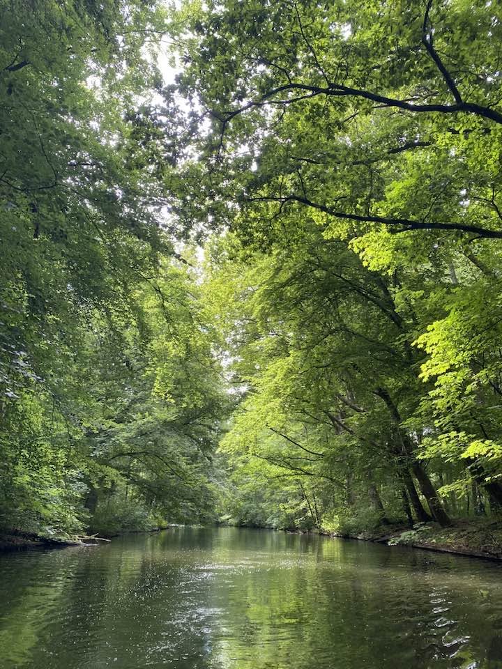 Rondvaart door het Amsterdamse Bos — Amsterdamse Bos / Fluistervink, Amsterdam